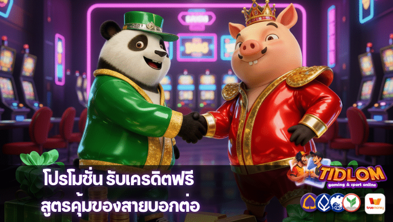 tidlomplus โปรโมชั่น
